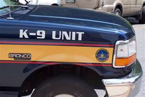 k-9